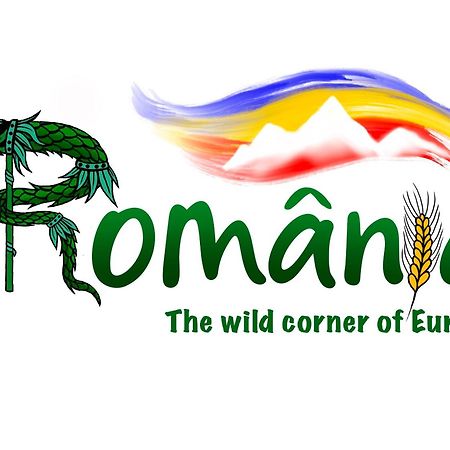 Villa Rihuini Eco Wine House Transylvania Richisu ภายนอก รูปภาพ