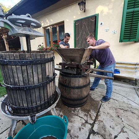 Villa Rihuini Eco Wine House Transylvania Richisu ภายนอก รูปภาพ