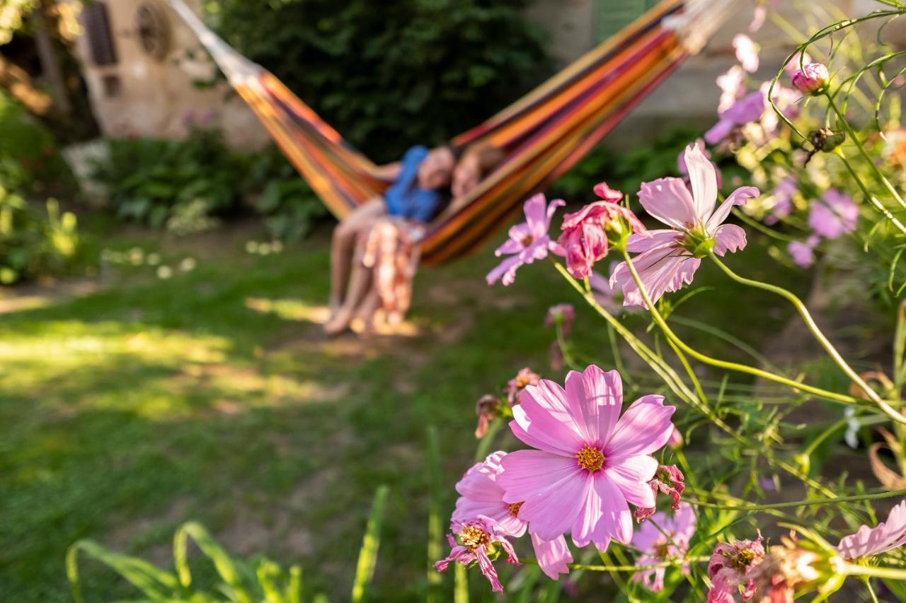Villa Rihuini Eco Wine House Transylvania Richisu ภายนอก รูปภาพ