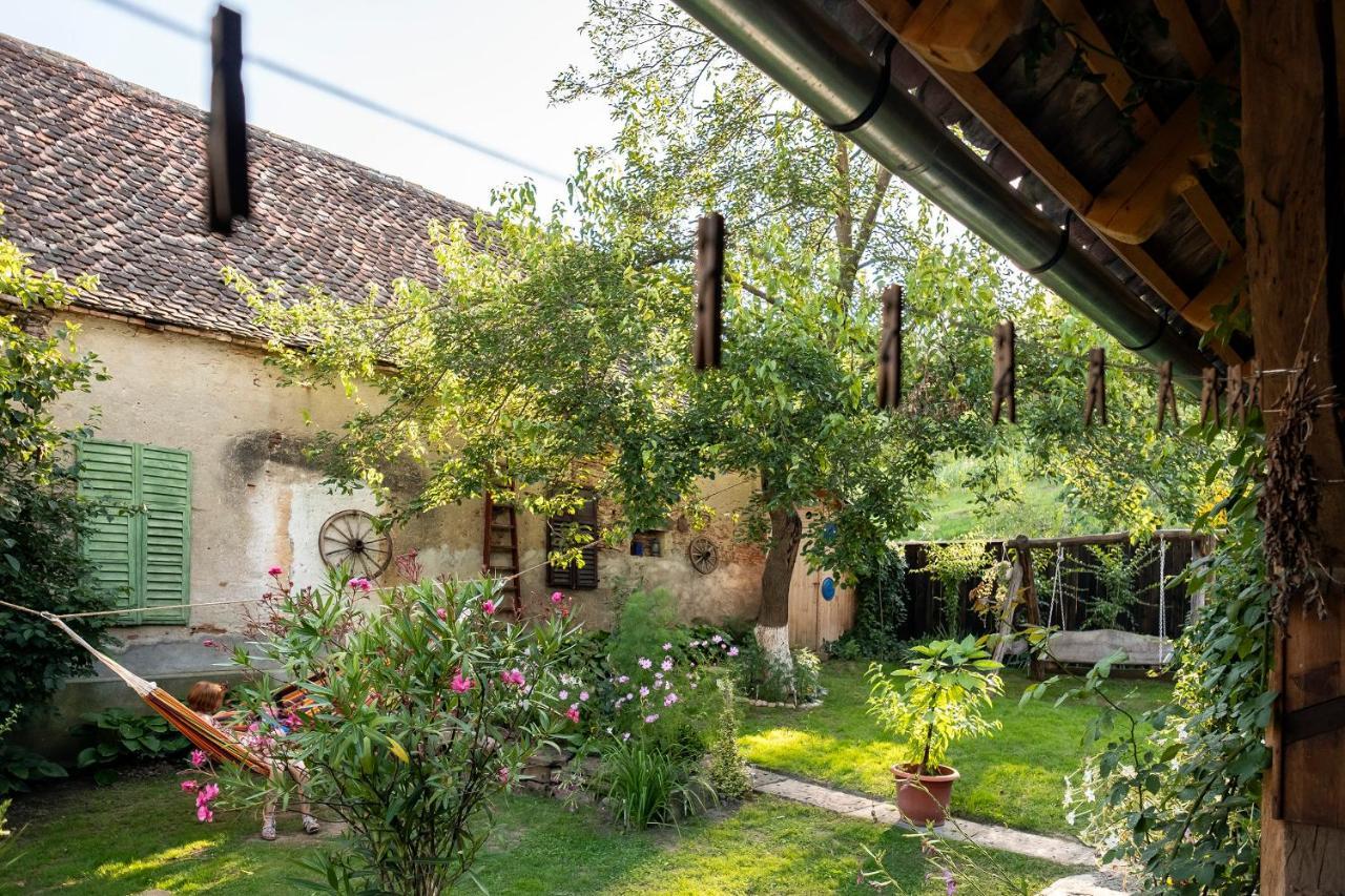 Villa Rihuini Eco Wine House Transylvania Richisu ภายนอก รูปภาพ