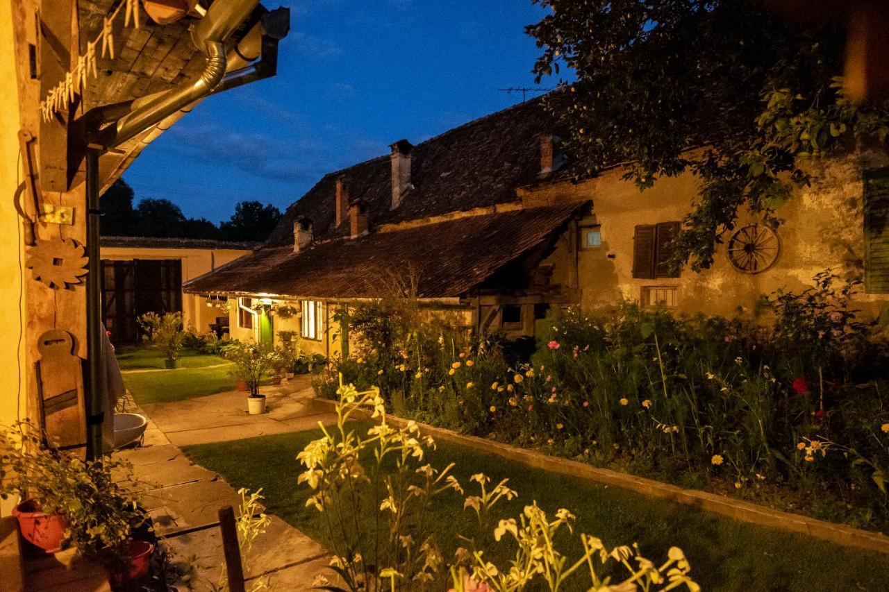Villa Rihuini Eco Wine House Transylvania Richisu ภายนอก รูปภาพ