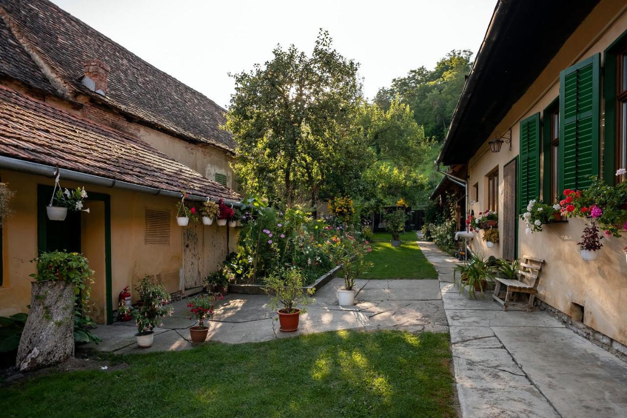 Villa Rihuini Eco Wine House Transylvania Richisu ภายนอก รูปภาพ