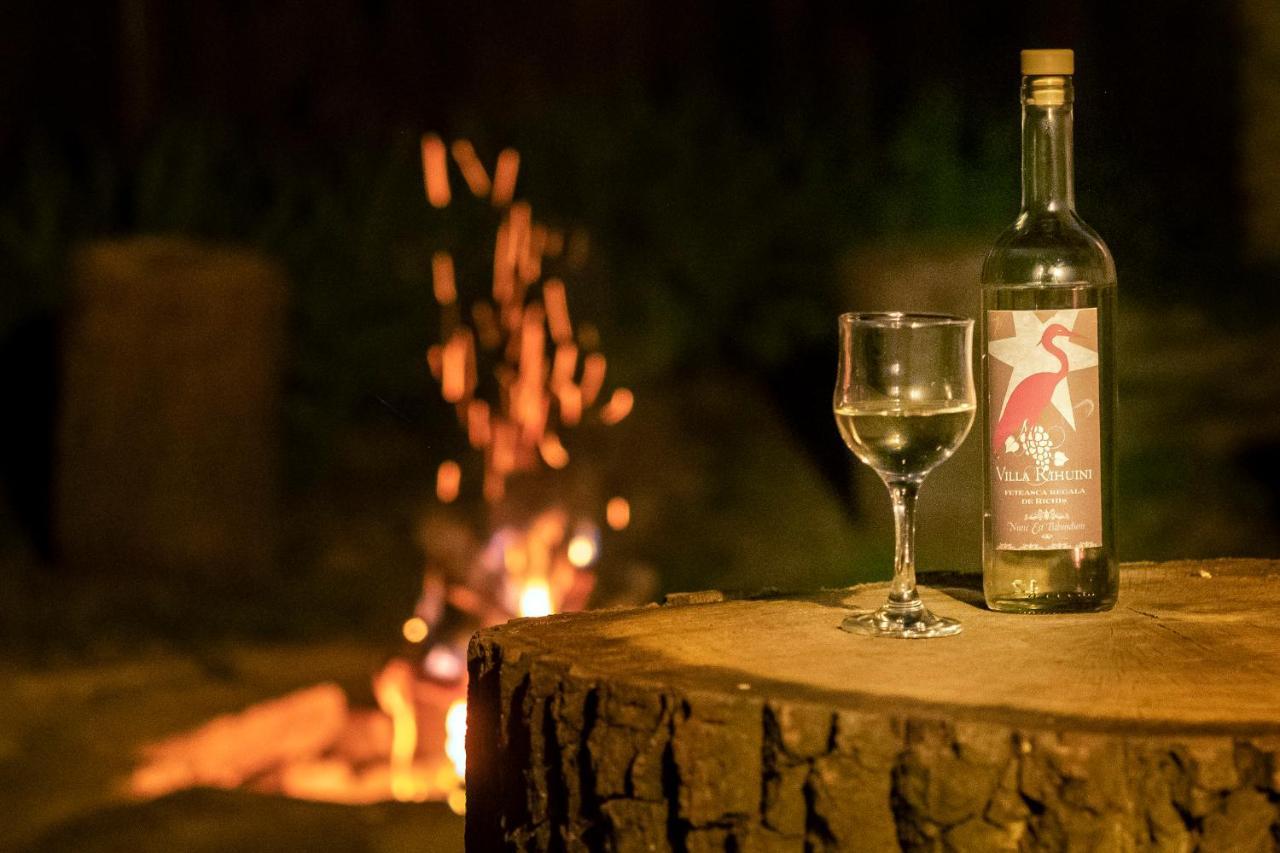 Villa Rihuini Eco Wine House Transylvania Richisu ภายนอก รูปภาพ
