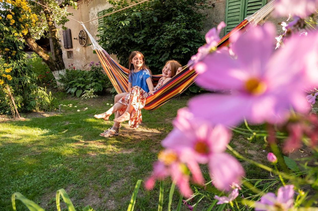 Villa Rihuini Eco Wine House Transylvania Richisu ภายนอก รูปภาพ