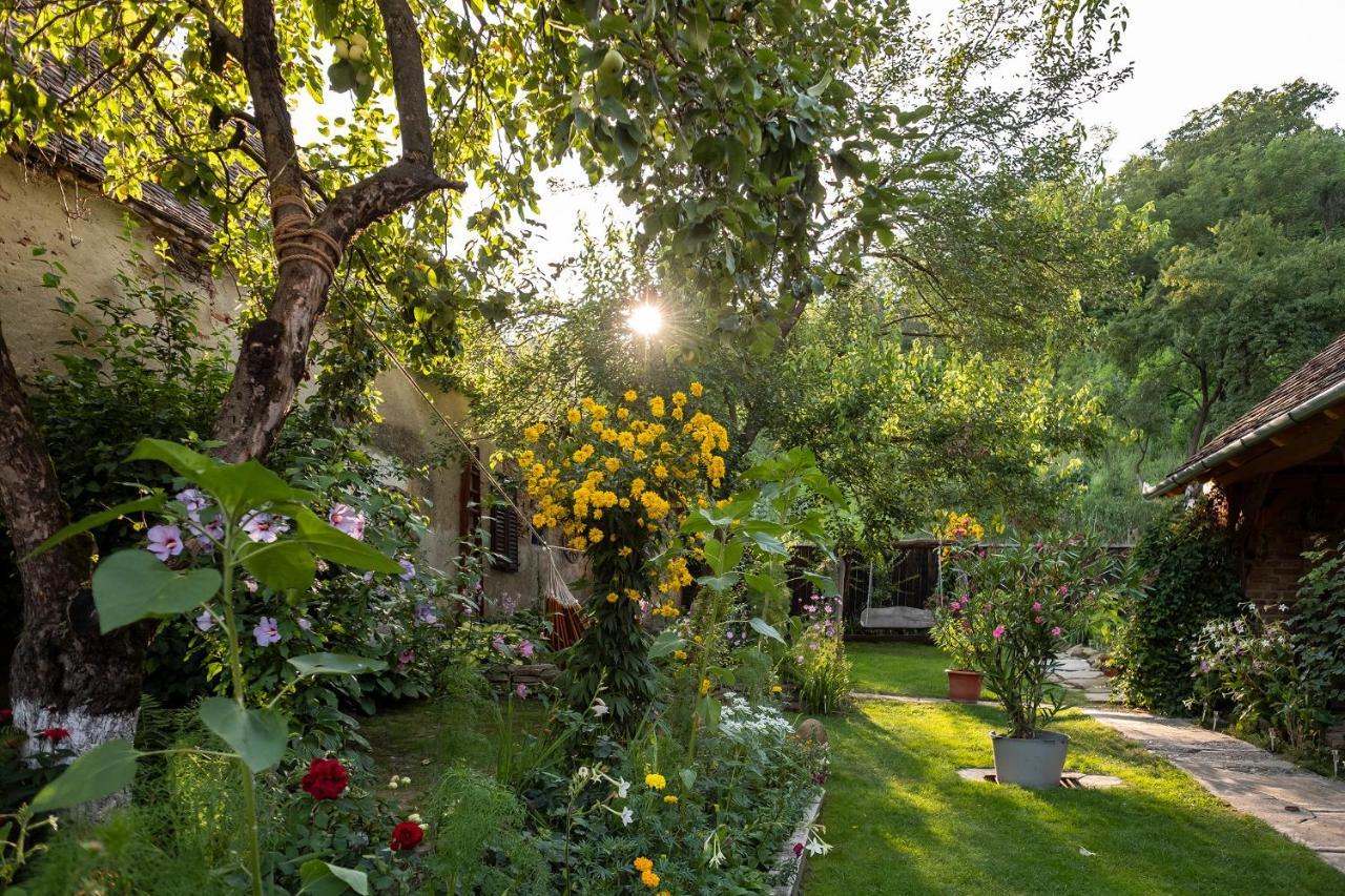 Villa Rihuini Eco Wine House Transylvania Richisu ภายนอก รูปภาพ