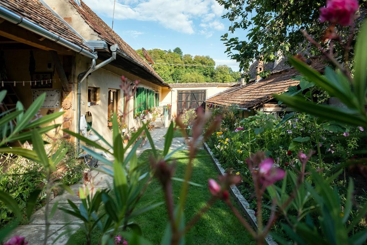 Villa Rihuini Eco Wine House Transylvania Richisu ภายนอก รูปภาพ