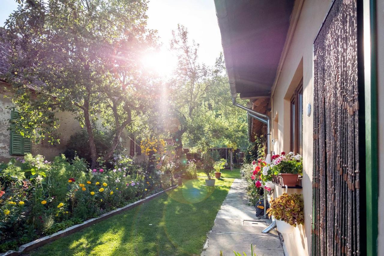 Villa Rihuini Eco Wine House Transylvania Richisu ภายนอก รูปภาพ