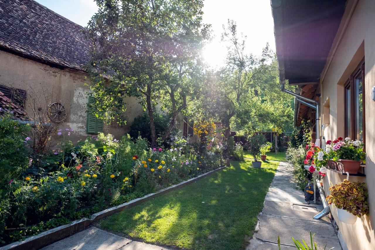 Villa Rihuini Eco Wine House Transylvania Richisu ภายนอก รูปภาพ