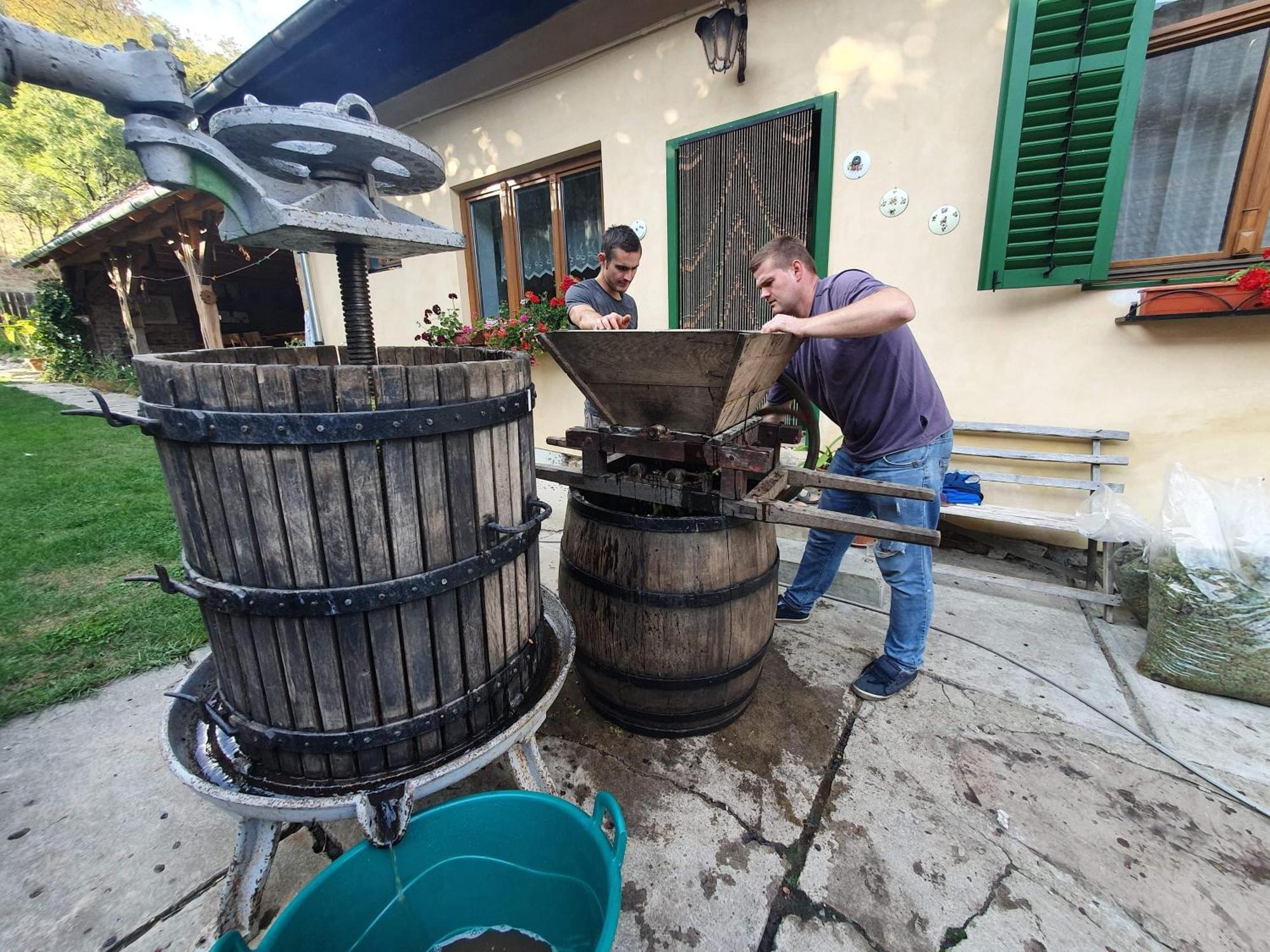 Villa Rihuini Eco Wine House Transylvania Richisu ภายนอก รูปภาพ