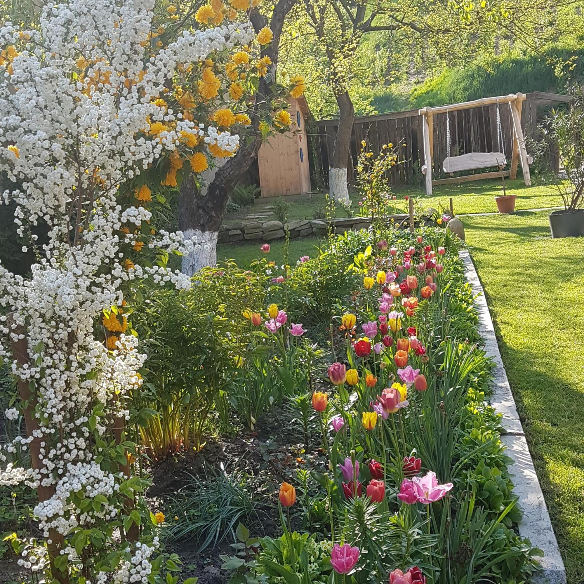 Villa Rihuini Eco Wine House Transylvania Richisu ภายนอก รูปภาพ